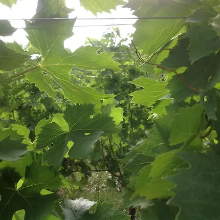 Séjour à la ferme Corte San Dionigi Vérone